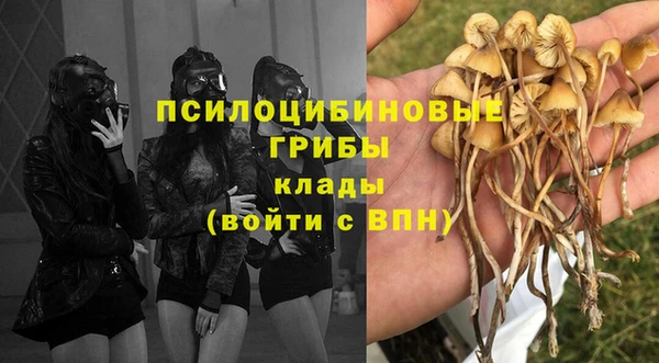 каннабис Алзамай
